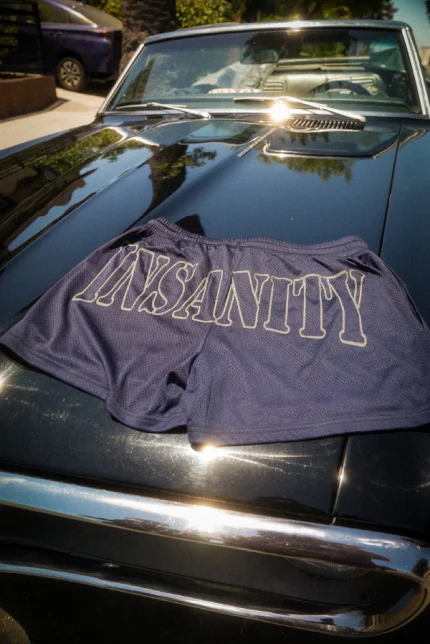 Navy Blue Mesh 3.5 Seam Shorts (1)